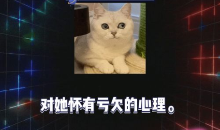 综艺娱乐八卦吃瓜,揭秘明星幕后故事，吃瓜群众狂欢时刻