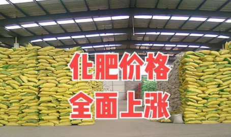 化肥行情,供需变化与价格走势解析