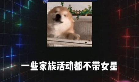 吃瓜群众娱乐爆料,明星们背后的故事大揭秘！