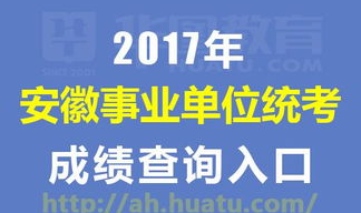 安徽省事业单位招聘考试网,解析考试趋势与备考策略