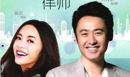 离婚律师 电视剧,情感纠葛与法律智慧交织的婚姻战场