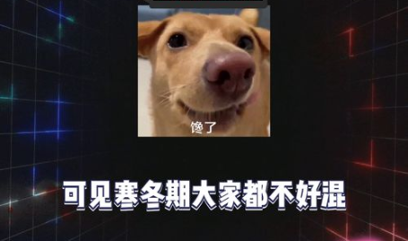 娱乐时间到吃瓜,揭秘娱乐圈那些事儿