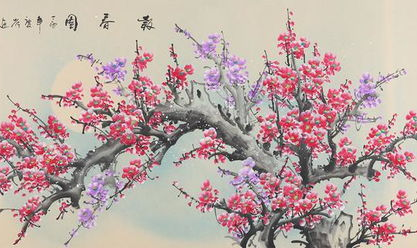 梅花 风水,家居摆放的吉祥寓意与禁忌