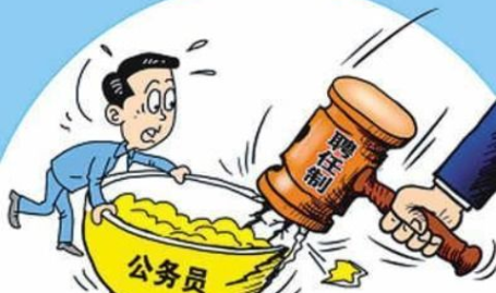 公务员是干什么的,国家治理的基石与公共服务的主力军