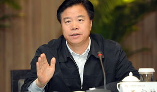 王宜林,王宜林的人生跌宕与警示