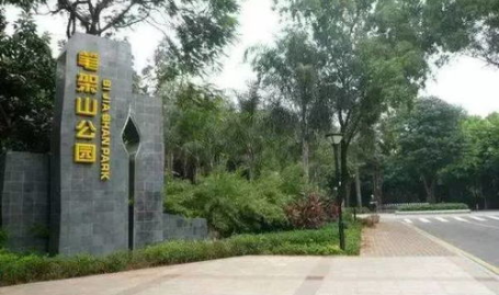 深圳好玩的地方,解锁这座现代都市的精彩魅力