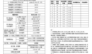 交通事故赔偿计算表,2025年交通事故赔偿计算标准详解与案例分析