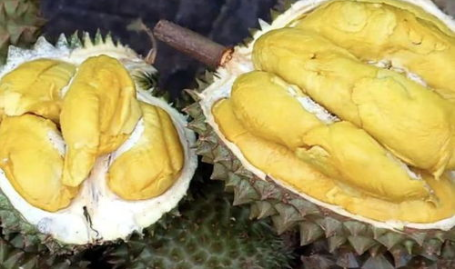 榴莲的吃法,多样吃法,尽享热带水果之王的美味