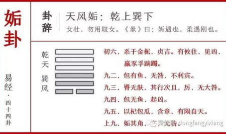 八卦玄机网491929c0m,探寻神秘数字背后的奥秘