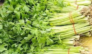 芹菜怎么做好吃,多样烹饪技巧,解锁家常美味”