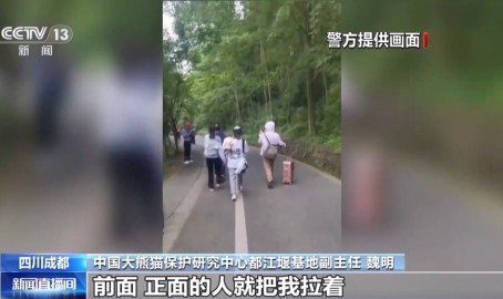 中国的黑天鹅和灰犀牛事件案例网暴大熊猫专家 造谣“虐待”谣言敛财……严惩以“爱”为名的伤害